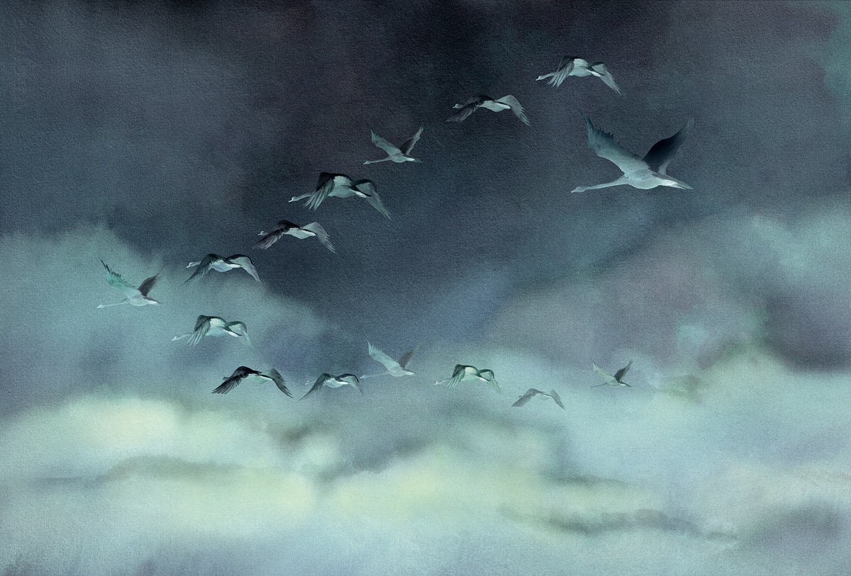 开云（中国） - 附件|装饰画/墙饰|办公家具|设计师家具|候鸟Ⅱ-原创定制壁画