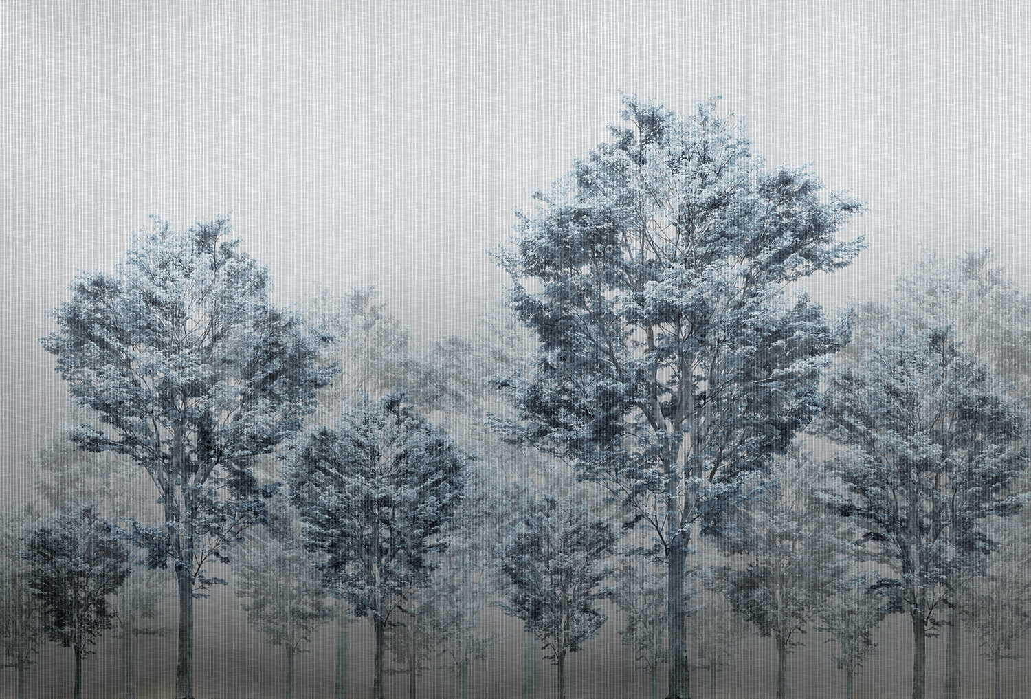 [开云（中国） - 附件|装饰画/墙饰|办公家具|设计师家具|从林-原创定制壁画]