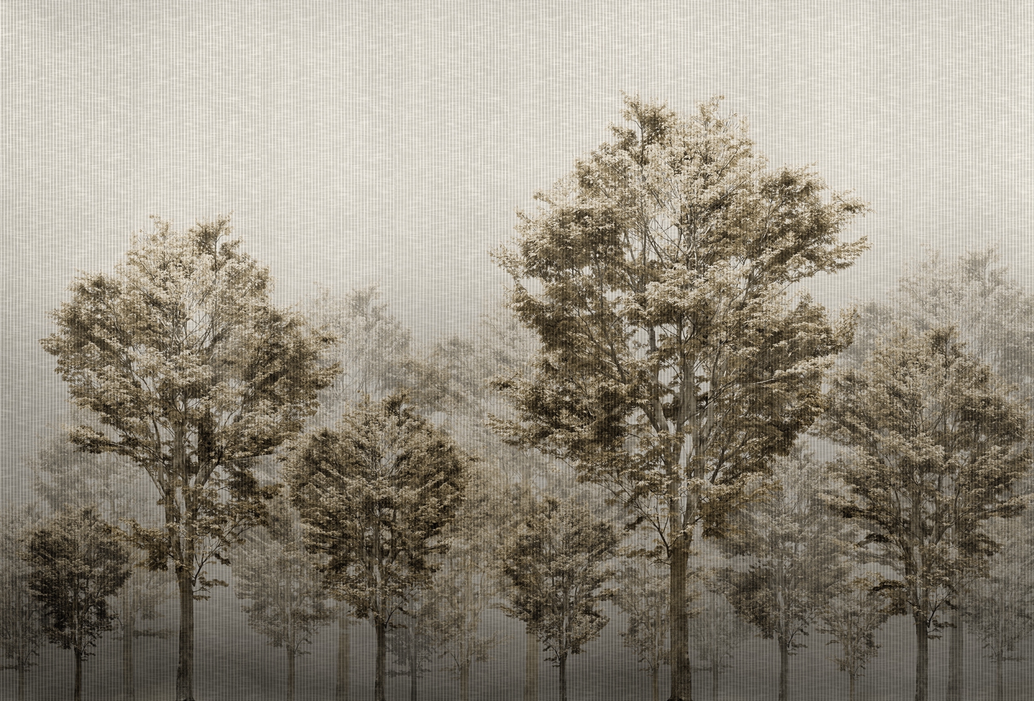 开云（中国） - 附件|装饰画/墙饰|办公家具|设计师家具|从林-原创定制壁画