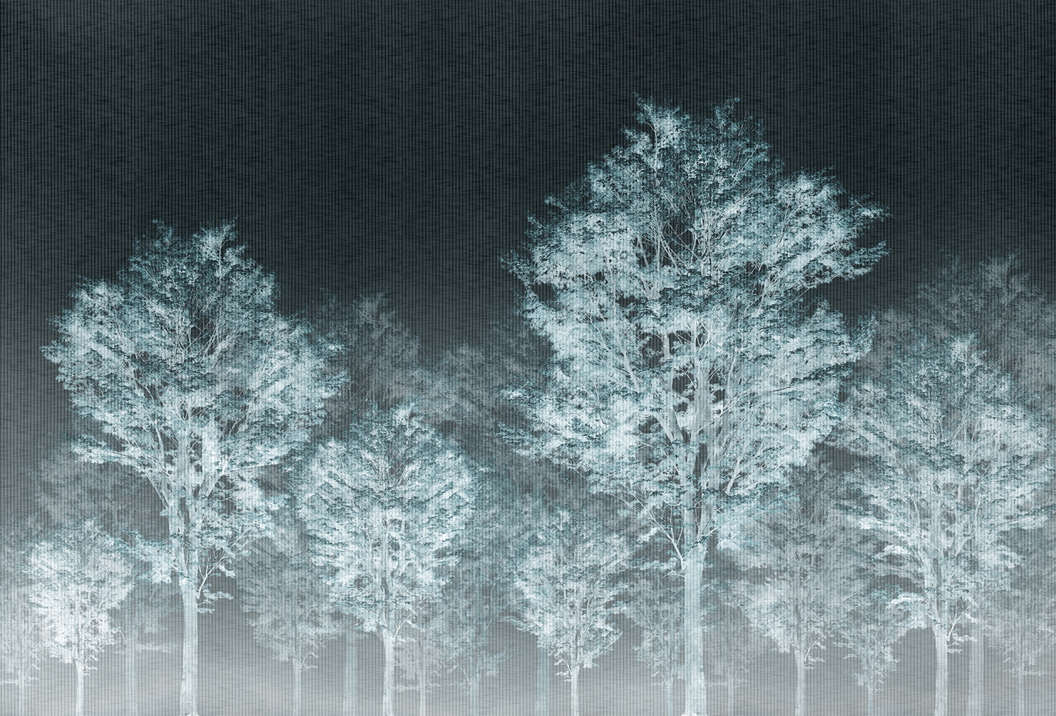 开云（中国） - 附件|装饰画/墙饰|办公家具|设计师家具|从林-原创定制壁画