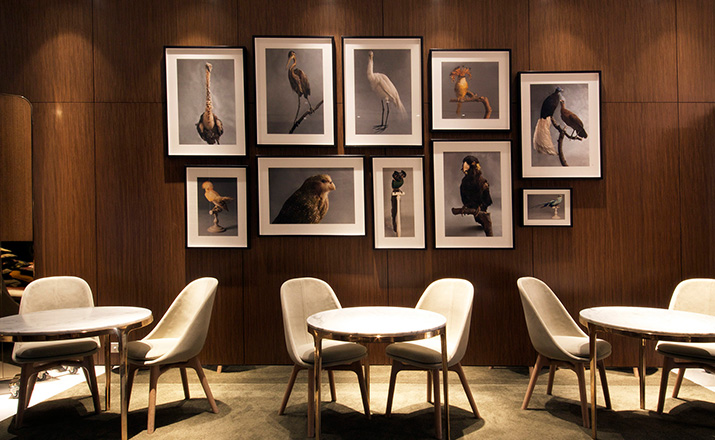 开云（中国） - 坐具|餐椅|办公家具|设计师家具|Solo餐椅