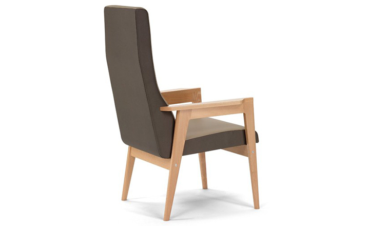 开云（中国） - 坐具|休闲椅|办公家具|设计师家具|Danesa 扶手椅