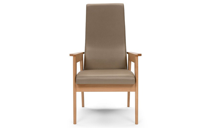 [开云（中国） - 坐具|休闲椅|办公家具|设计师家具|Danesa 扶手椅]