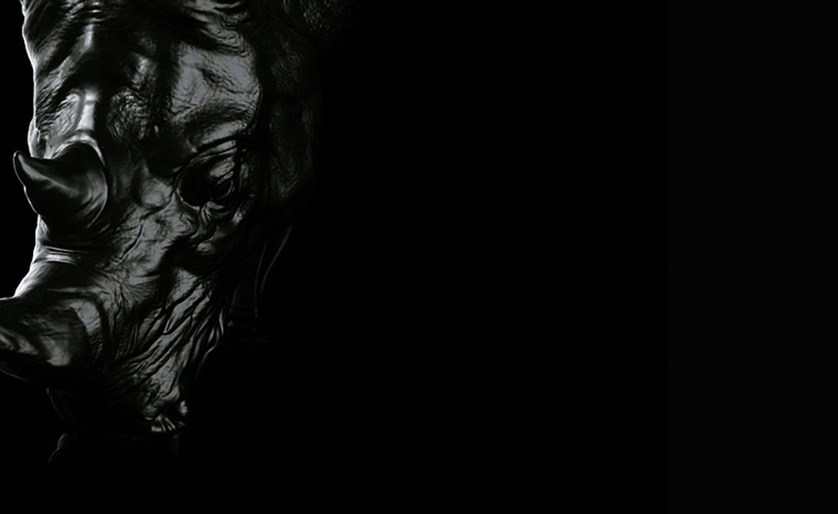 开云（中国） - 坐具|休闲椅|办公家具|设计师家具|犀牛椅