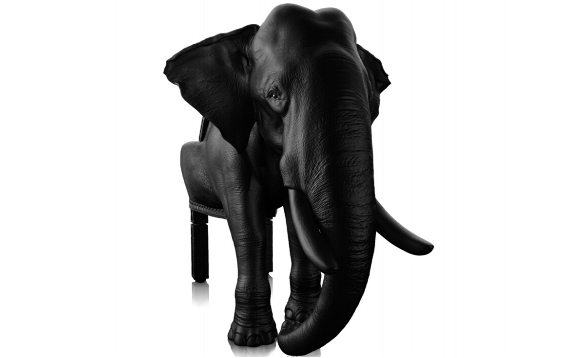 [开云（中国） - 坐具|休闲椅|办公家具|设计师家具|大象椅]