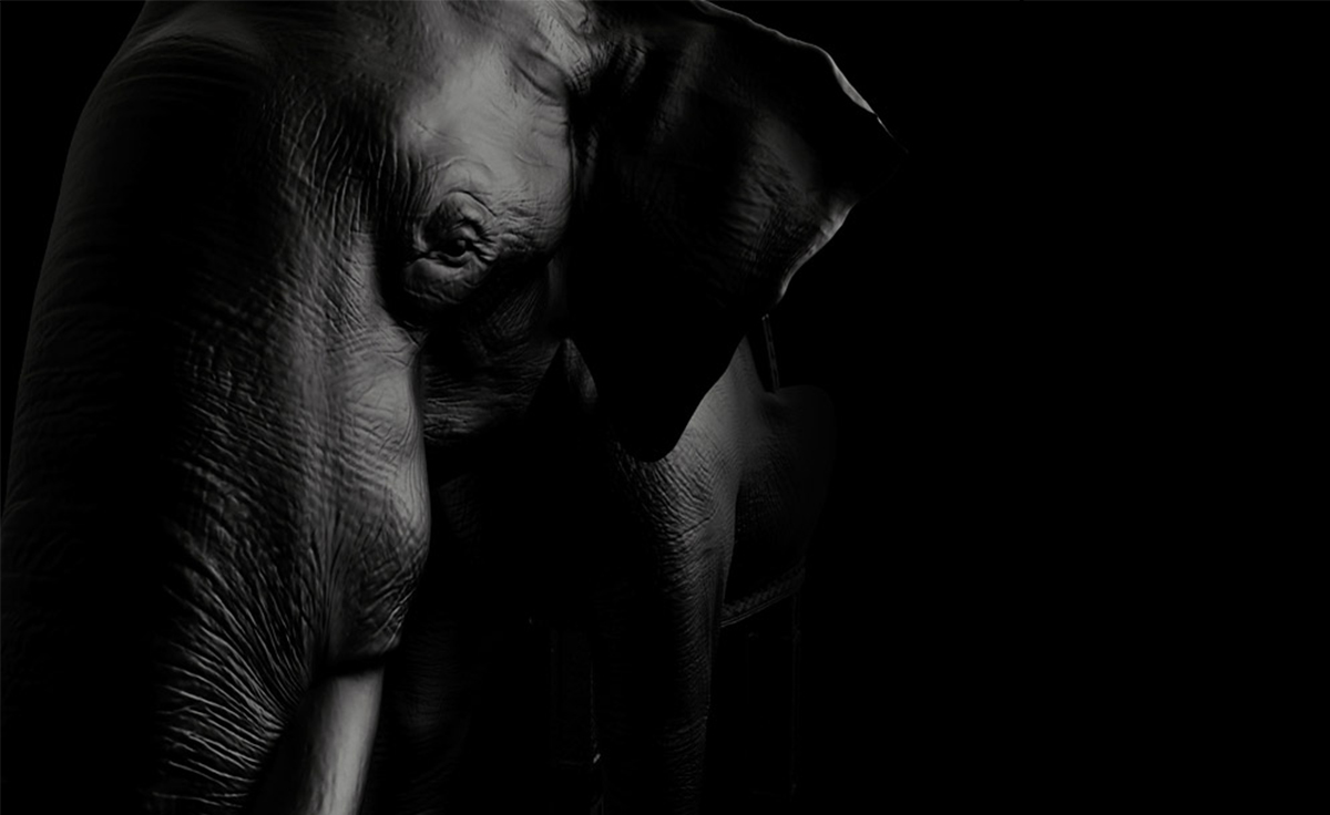 开云（中国） - 坐具|休闲椅|办公家具|设计师家具|大象椅