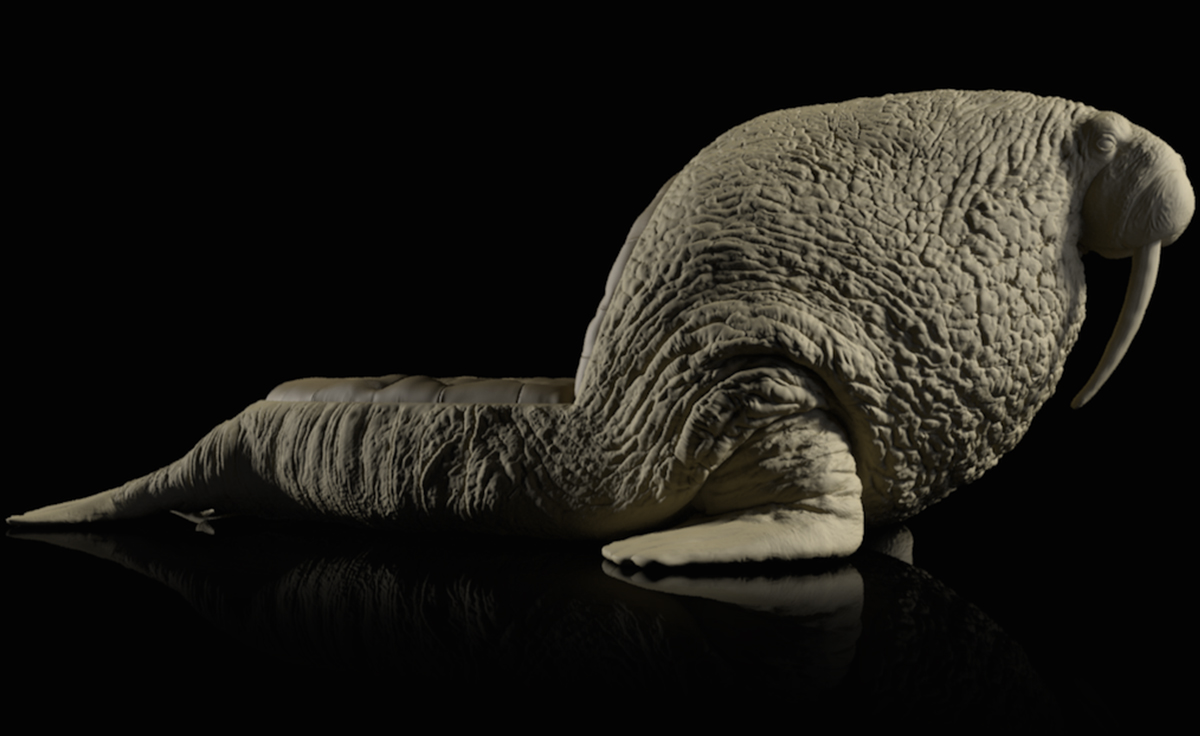 开云（中国） - 坐具|休闲椅|办公家具|设计师家具|海象椅