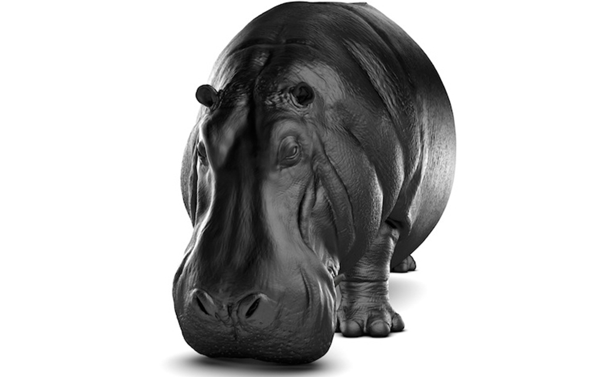 开云（中国） - 坐具|休闲椅|办公家具|设计师家具|河马椅