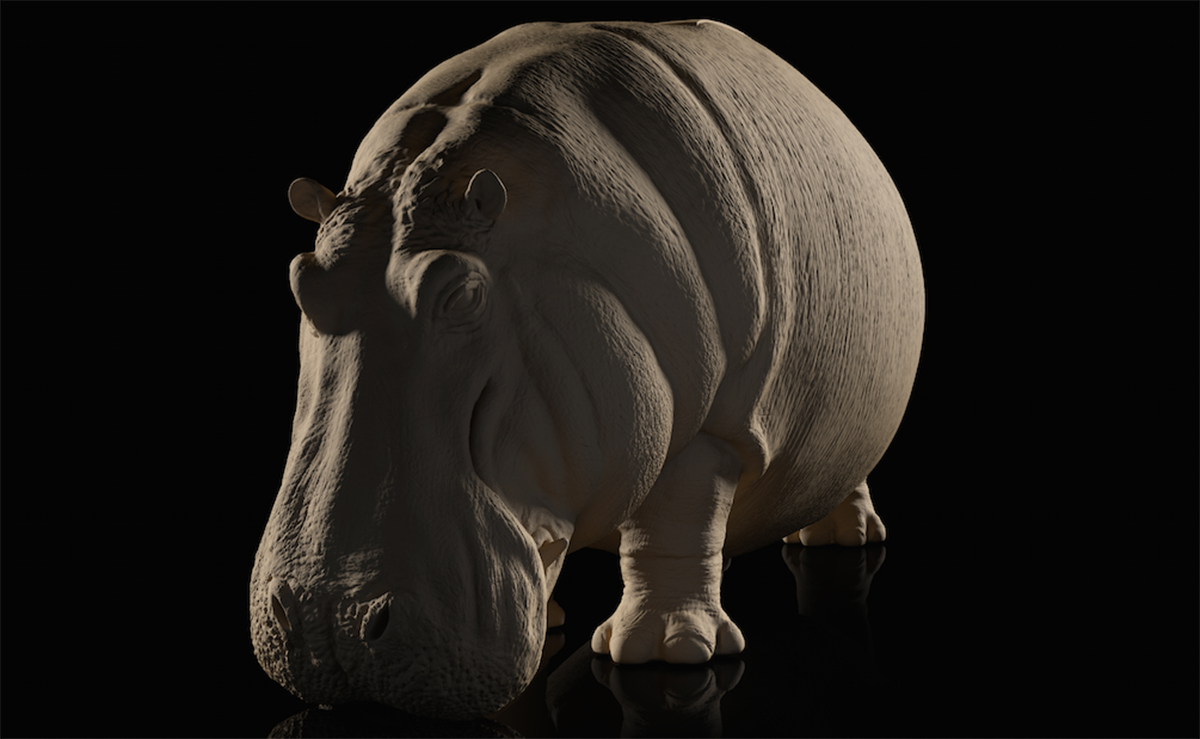 开云（中国） - 坐具|休闲椅|办公家具|设计师家具|河马椅