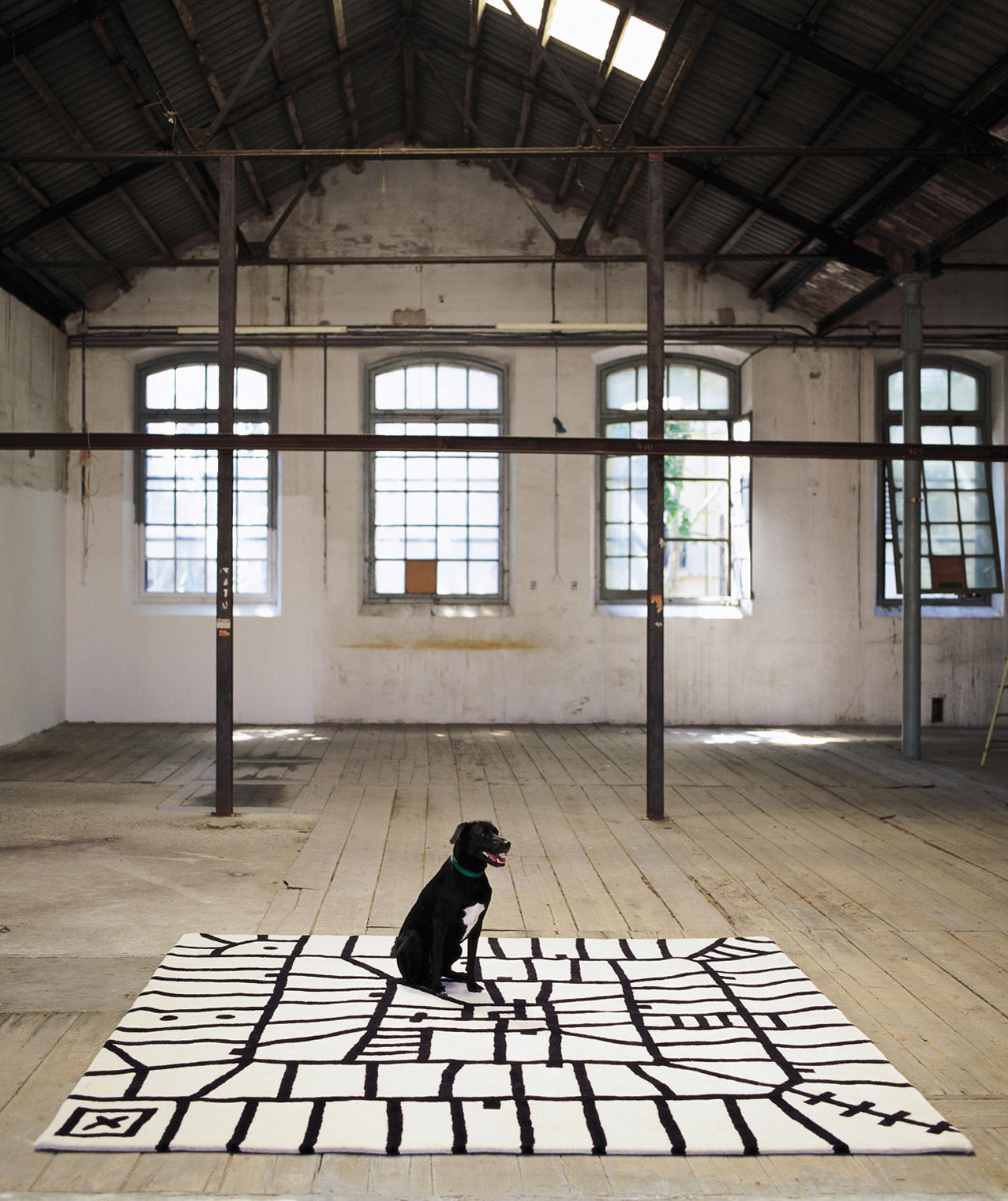 开云（中国） - 附件|地毯|办公家具|设计师家具|丛林地狱黑白地毯