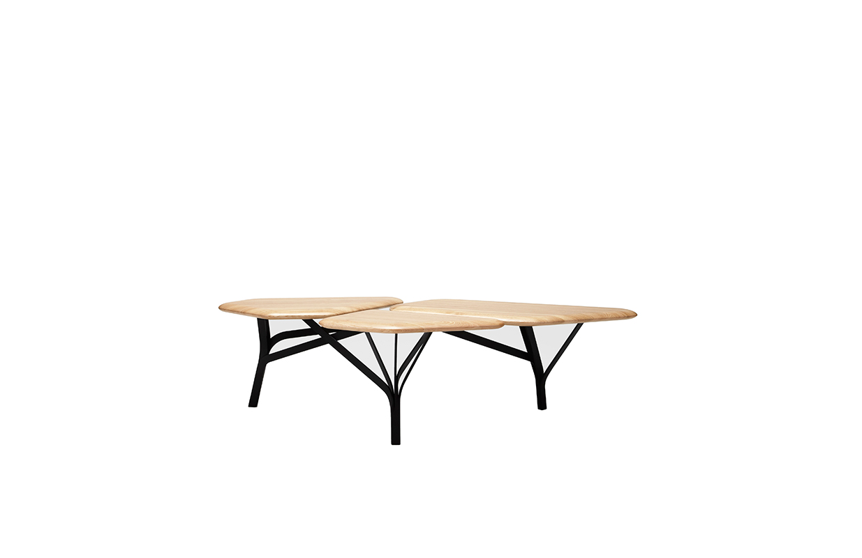 [开云（中国） - 桌几|茶几/边几|办公家具|设计师家具|贝佳斯实木茶几]