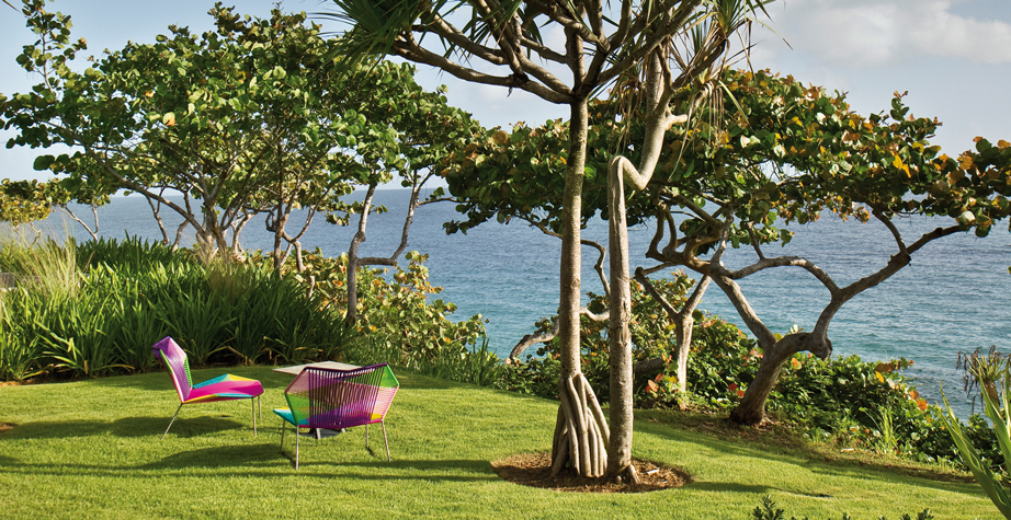 开云（中国） - 坐具|户外椅|办公家具|设计师家具|热带风潮扶手椅