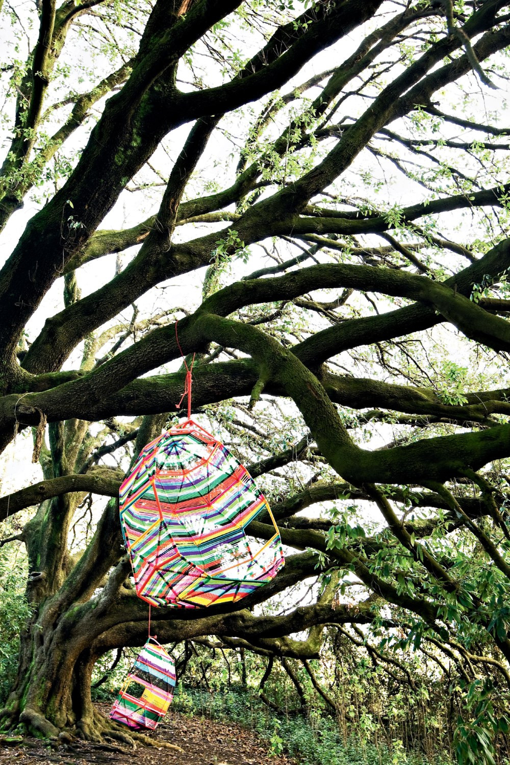 开云（中国） - 坐具|户外椅|办公家具|设计师家具|茧休闲吊椅/床