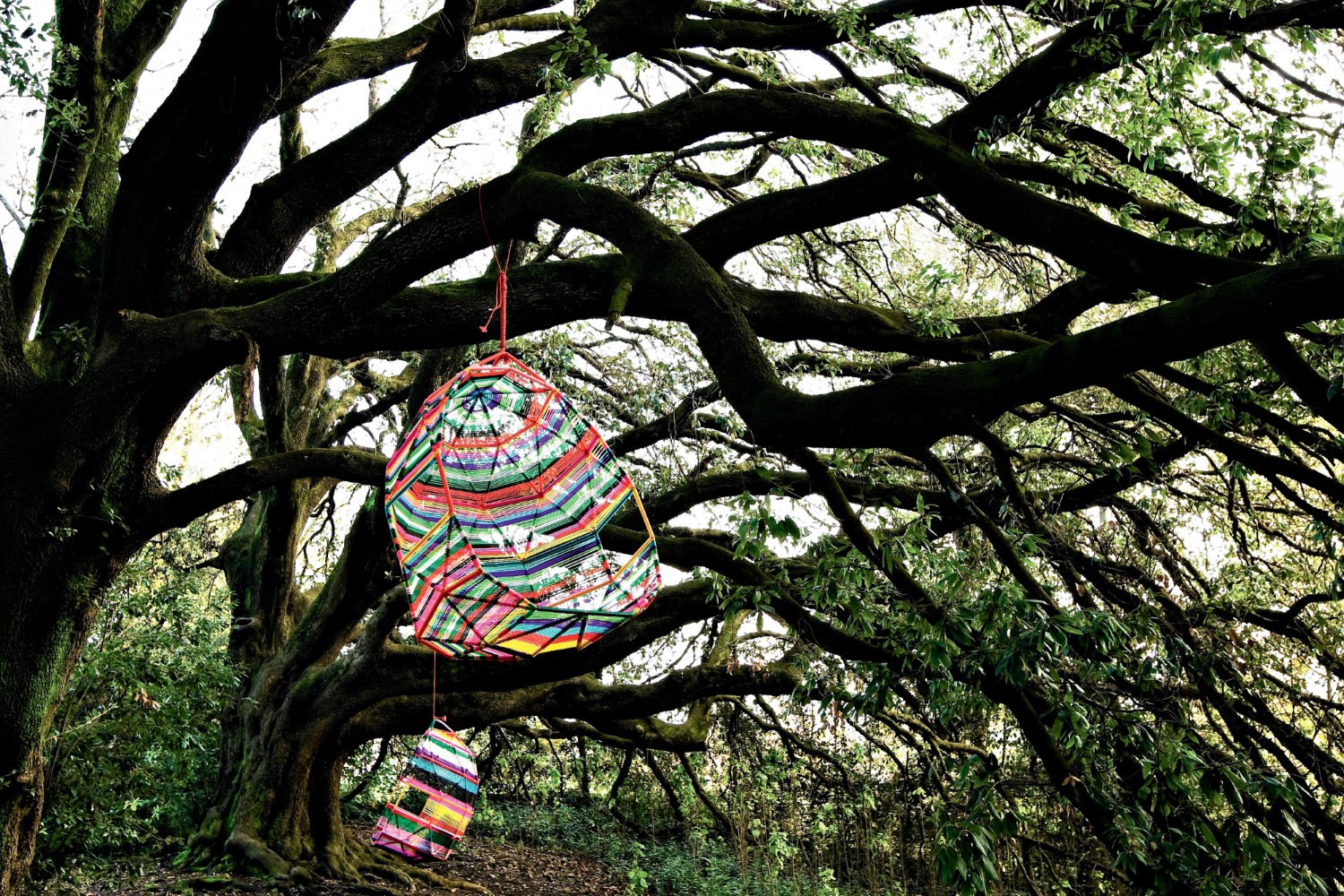 开云（中国） - 坐具|户外椅|办公家具|设计师家具|茧休闲吊椅/床