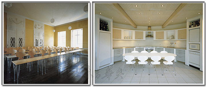 现代经典休闲椅|木制休闲椅|办公家具|蚂蚁椅|休闲椅，塑料休闲椅，餐椅，洽谈椅