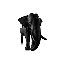 Elephant  Chair CG-DW002